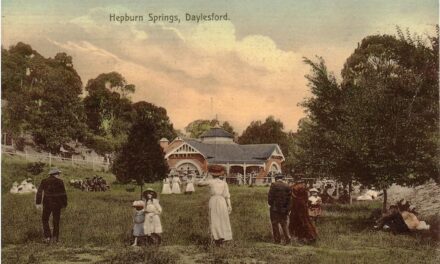 Shaping the Future of Hepburn Mineral Springs Reserve: Community Voices Needed