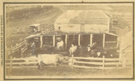 The History Files: When the Gold was Gone and Land was Cheap