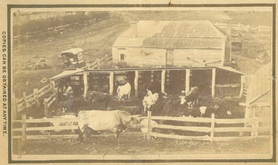 The History Files: When the Gold was Gone and Land was Cheap