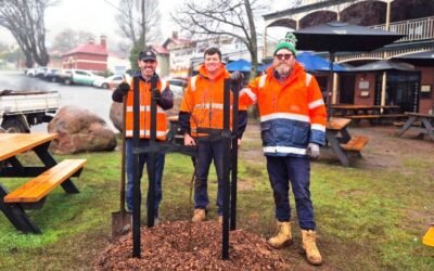 New Chapter for Daylesford’s Tree of Knowledge