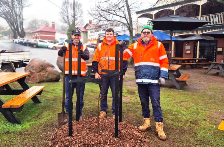 New Chapter for Daylesford’s Tree of Knowledge