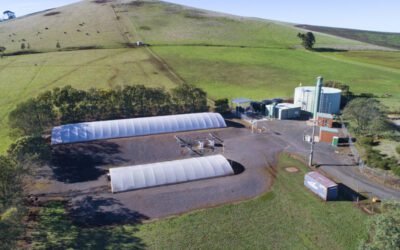 Extended Dry Conditions Impact Forest Hill Water Supply