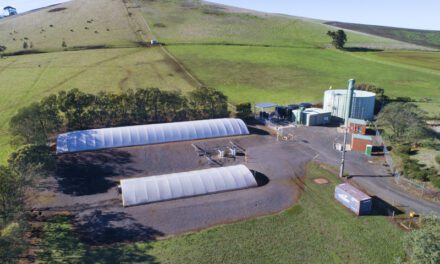Extended Dry Conditions Impact Forest Hill Water Supply