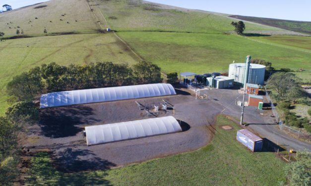 Extended Dry Conditions Impact Forest Hill Water Supply