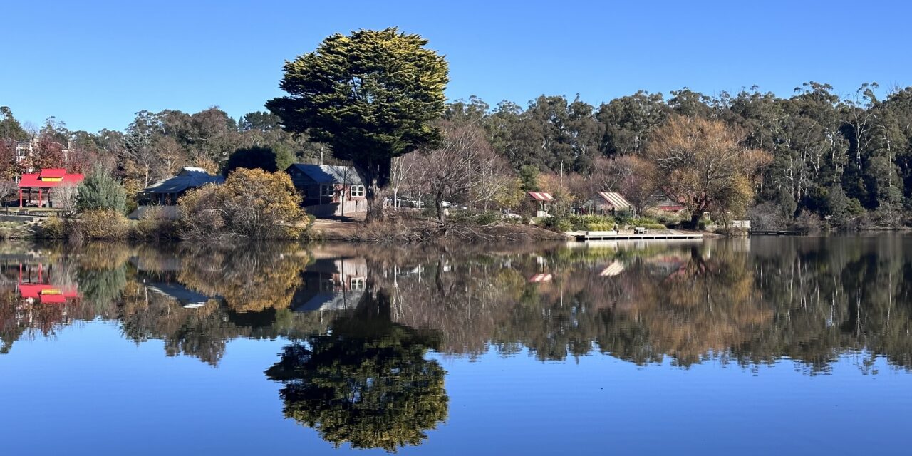 Photo of the Week: Reflections