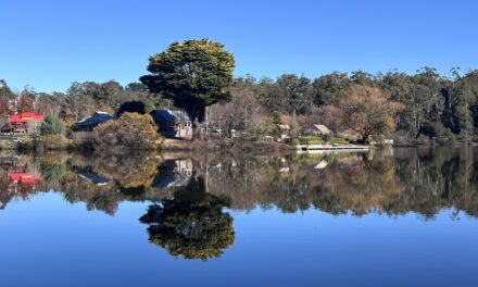 Photo of the Week: Reflections