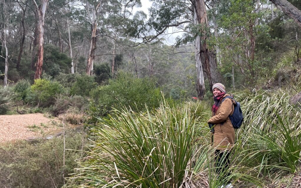 Nature Diary: The One Constant Is Change on the Lerderderg Track