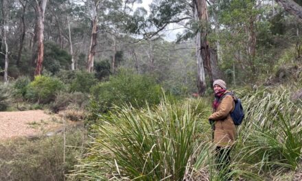 Nature Diary: The One Constant Is Change on the Lerderderg Track