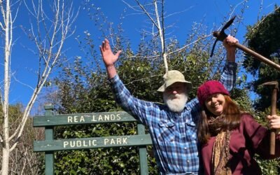 Community Rallies to Save Rea Lands Reserve from Possible Sale