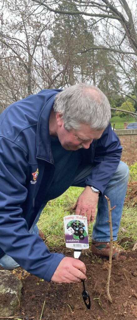 Stephan Rea planting a jostaberry. (Photo: Debora Semple)