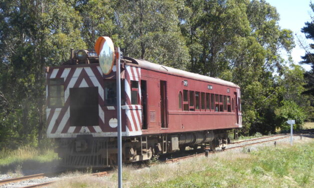 All Aboard the Gardens Special