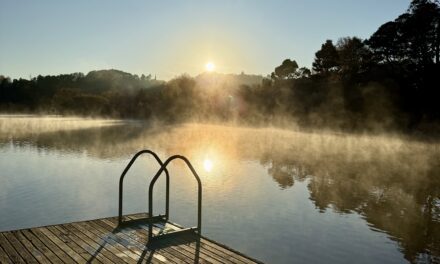 Photo of the Week: Morning Mist on Lake Daylesford