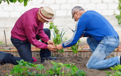 Healthy Daylesford: Taking Care of Your Back in the Garden