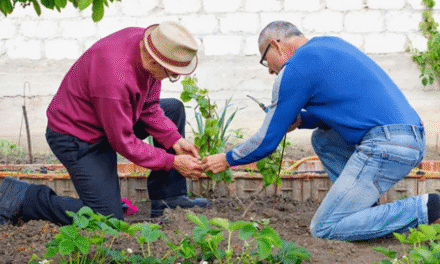 Healthy Daylesford: Taking Care of Your Back in the Garden