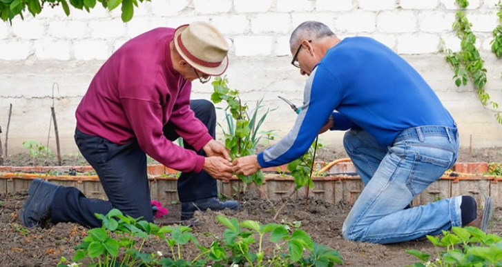 Healthy Daylesford: Taking Care of Your Back in the Garden