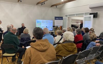 Tourism: Where to From Here?