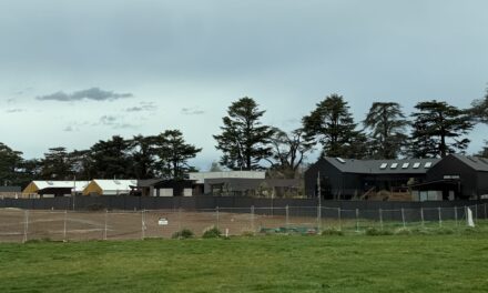 High Stakes and Low Bids: The Premiere Auction for The Block in Daylesford