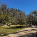 Balak Kalik Manya – Walking Together Phase 2 Launches at Central Springs