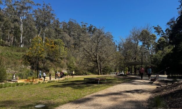 Balak Kalik Manya – Walking Together Phase 2 Launches at Central Springs