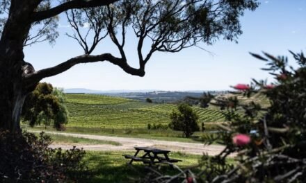 Blends are Better by Far