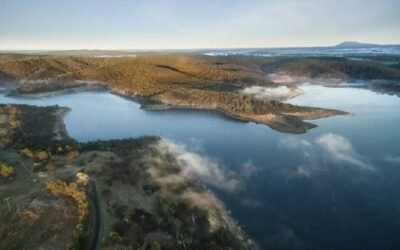 Have Your Say on Local Water Services