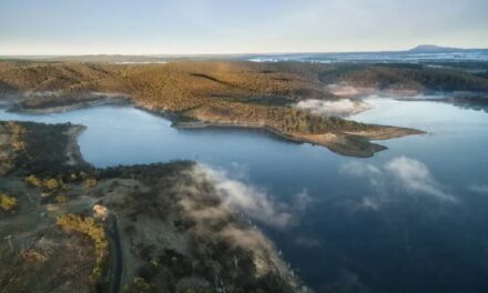 Have Your Say on Local Water Services