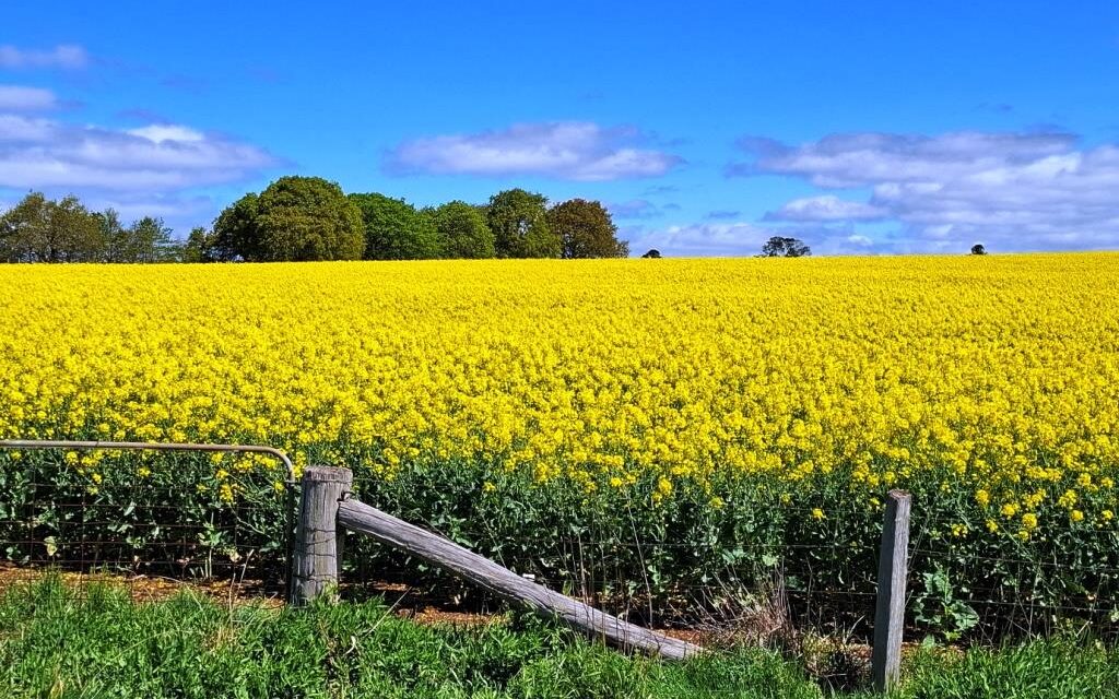 Dry September, Wet October – Typical Spring Weather