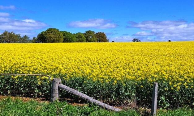 Dry September, Wet October – Typical Spring Weather