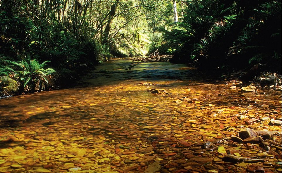 Wombat Lerderderg National Park Approved Securing Future of Key Landscapes