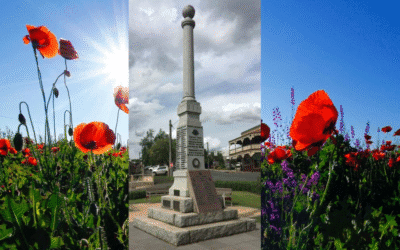 Remembrance Day: Honouring Service and Sacrifice