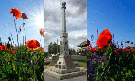 Remembrance Day: Honouring Service and Sacrifice