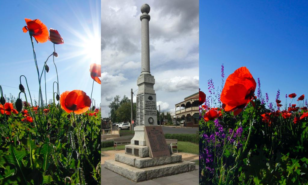 Remembrance Day: Honouring Service and Sacrifice