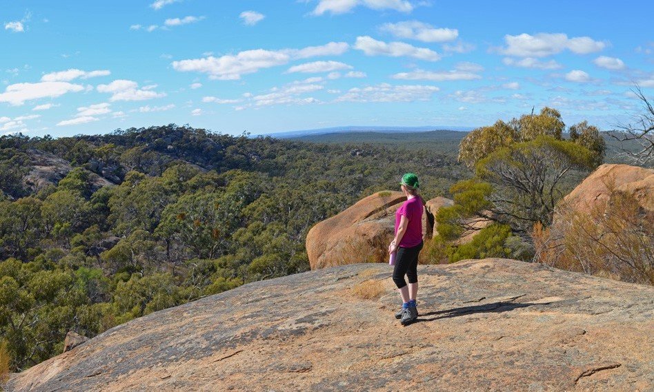 GDTA Offers Public Walks to Six Local Peaks