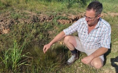 Local Action Strengthens Weed and Pest Management