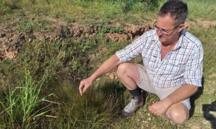 Local Action Strengthens Weed and Pest Management