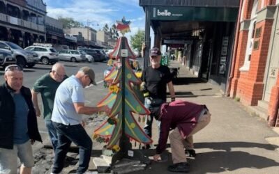 Local Christmas Trees Out and About