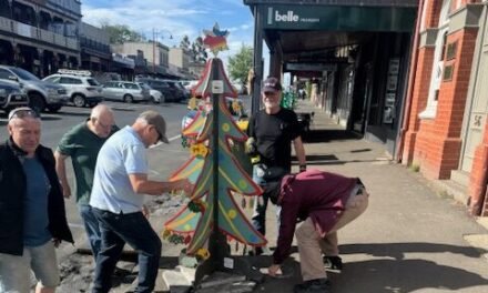 Local Christmas Trees Out and About