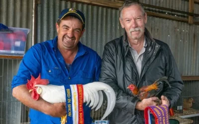 Get Ready: Kingston Agricultural Show Returns This Weekend