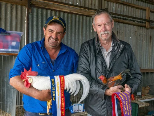 Get Ready: Kingston Agricultural Show Returns This Weekend