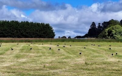 Coldest Start to Summer Since 1996