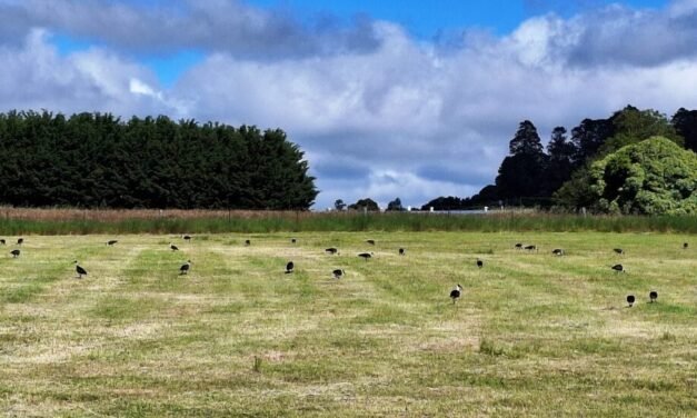 Coldest Start to Summer Since 1996