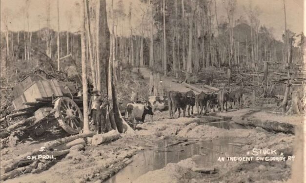 The History Files: A Potpourri of News Items From Daylesford Newspapers of the Late 1800s