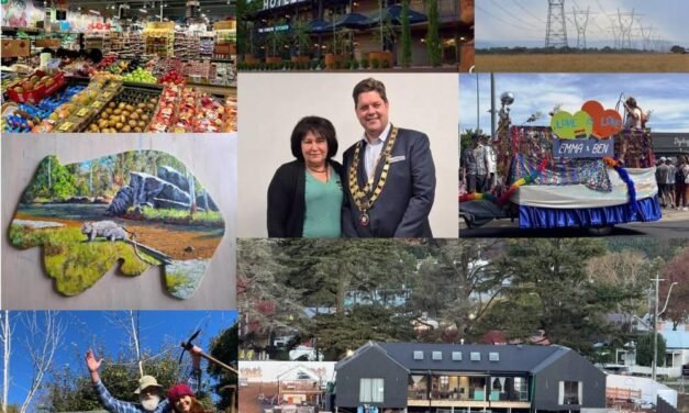 The Year That Was In The Wombat Post