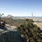 Fires and Logging Close Sections of Popular Walking and Mountain Bike Trails