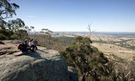 Fires and Logging Close Sections of Popular Walking and Mountain Bike Trails