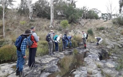 Walking Country: Nature, Trails and the Future of Outdoor Tourism