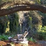 Wombat Hill Botanic Gardens: Hepburn Shire’s Significant Cultural and Community Asset