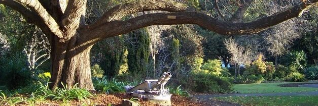 Wombat Hill Botanic Gardens: Hepburn Shire’s Significant Cultural and Community Asset