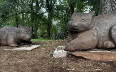 Creative Projects Fund open