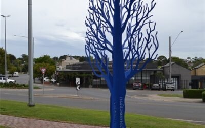 Daylesford College Live4Life members embrace Blue Tree project
